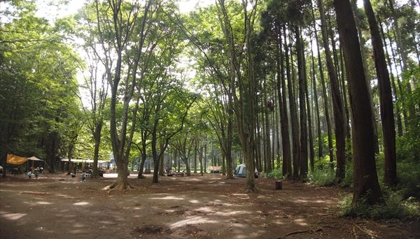 昭和の森フォレストビレッジ