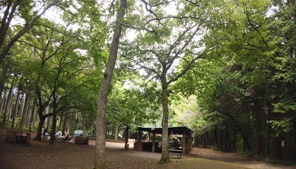 昭和の森フォレストビレッジ