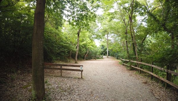 有野実苑オートキャンプ場 有野実苑オートキャンプ場