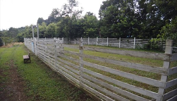 有野実苑オートキャンプ場 有野実苑オートキャンプ場