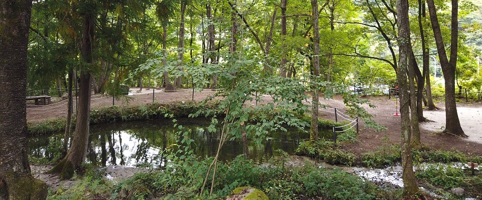 木もれびpondキャンプ場