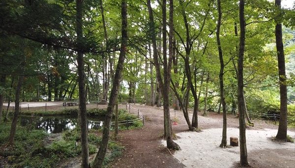 木もれびpondキャンプ場