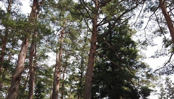 木崎湖キャンプ場