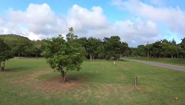 東村村民の森つつじエコパーク