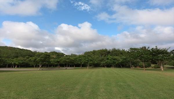 東村村民の森つつじエコパーク