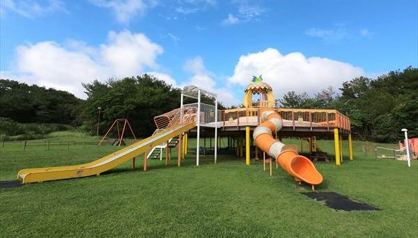 東村村民の森つつじエコパーク