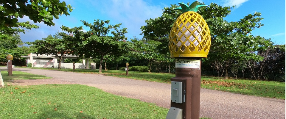 東村村民の森つつじエコパーク