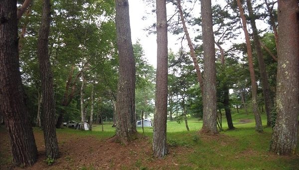 松原湖高原オートキャンプ場