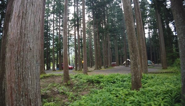 板取川温泉オートキャンプ場 板取川温泉オートキャンプ場