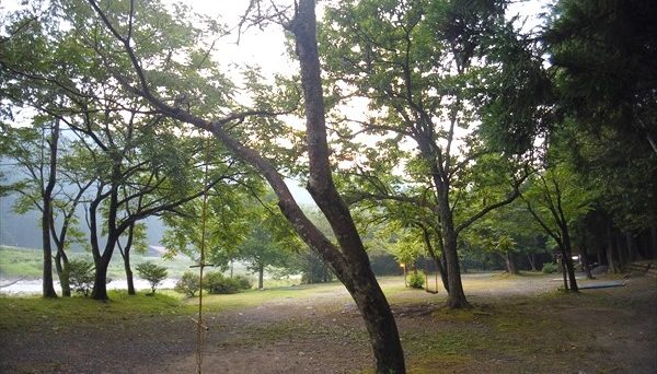 板取川温泉オートキャンプ場 板取川温泉オートキャンプ場