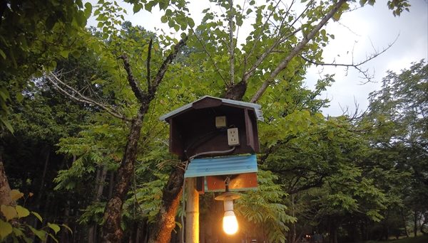 板取川温泉オートキャンプ場 板取川温泉オートキャンプ場