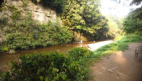 柿山田オートキャンプガーデン