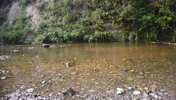 柿山田オートキャンプガーデン