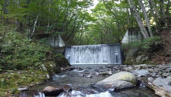 桐の木平キャンプ場