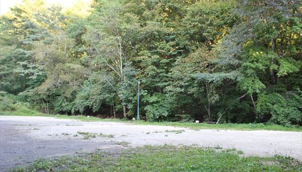 桐の木平キャンプ場