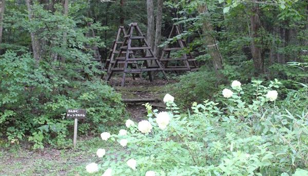 桐の木平キャンプ場