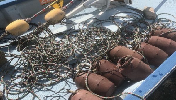 東海ビーチアウトドアキャンプ場　森の少年王子