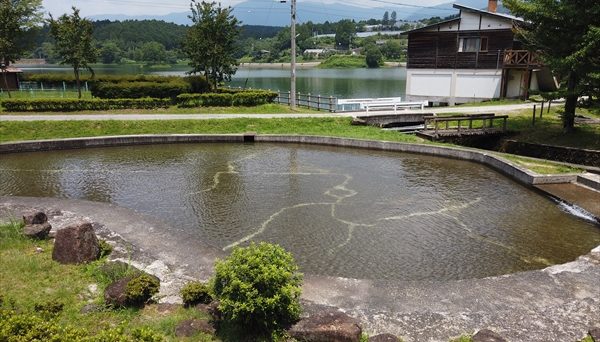 椛の湖オートキャンプ場 椛の湖オートキャンプ場