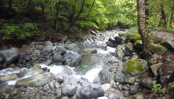 椿荘オートキャンプ場