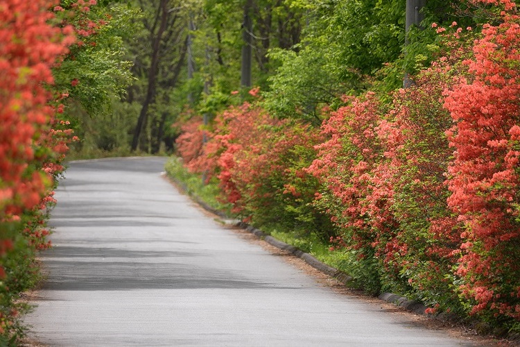 榛名湖オートキャンプ場