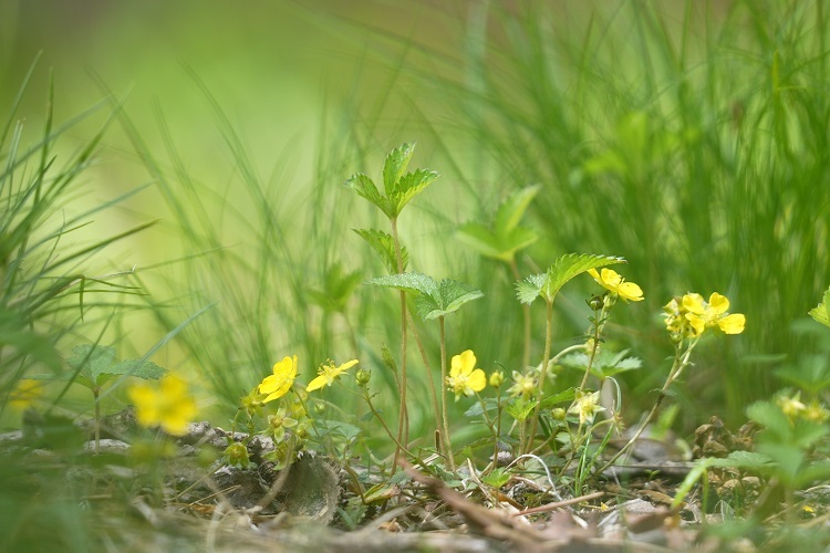 榛名湖オートキャンプ場