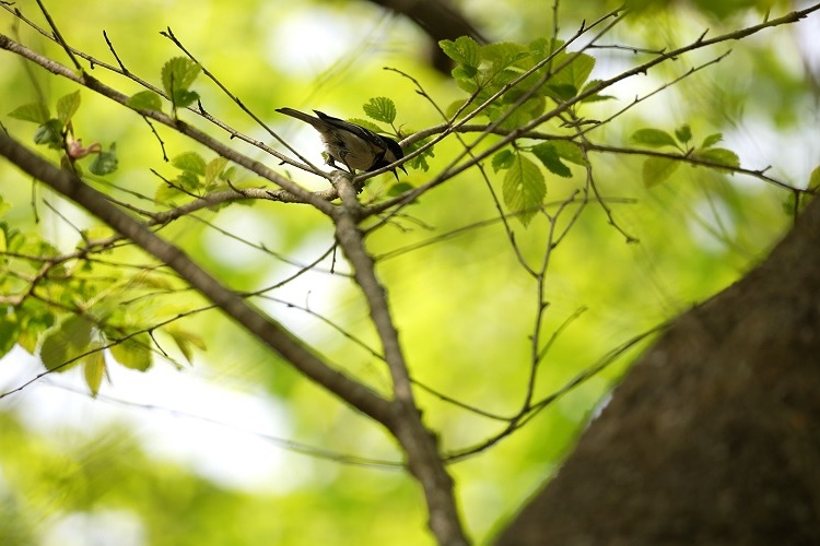 榛名湖オートキャンプ場