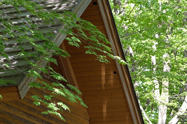 榛名湖オートキャンプ場