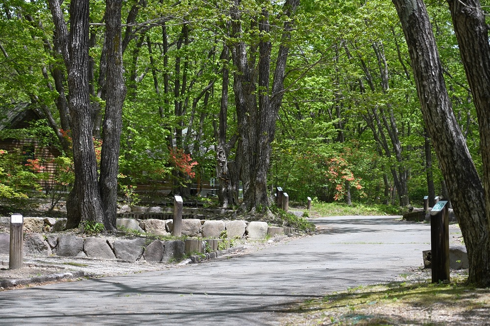 榛名湖オートキャンプ場区画サイト