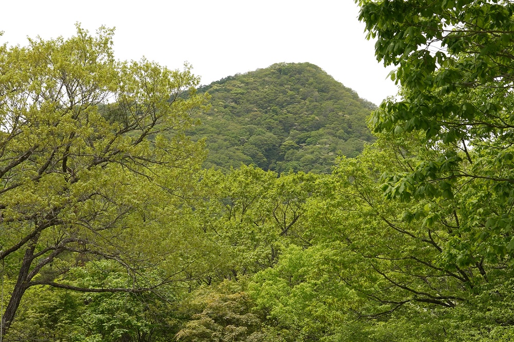 榛名湖オートキャンプ場景色