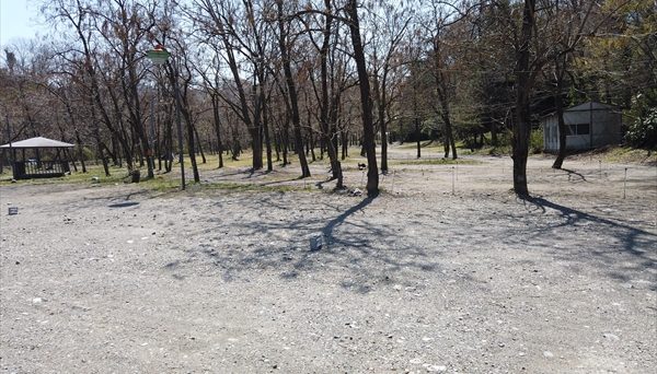 武甲キャンプ場