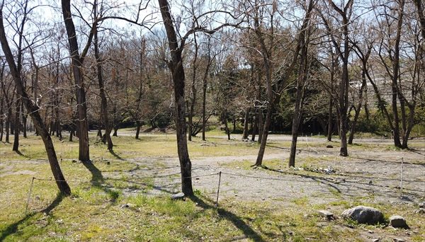 武甲キャンプ場