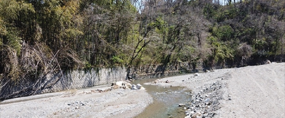 武甲キャンプ場