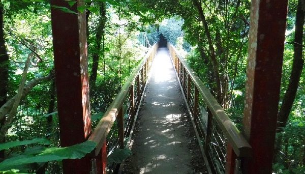 比地大滝キャンプ場 比地大滝キャンプ場