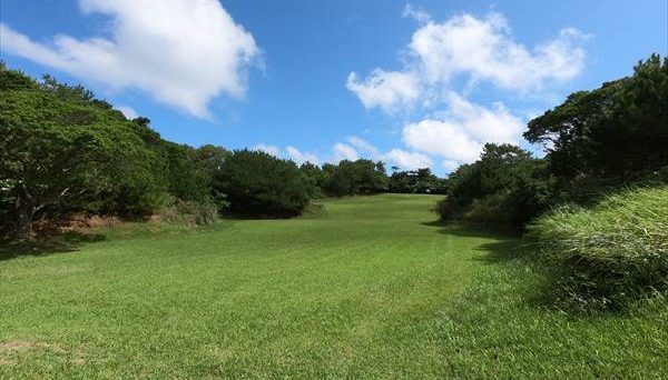 沖縄県 県民の森キャンプ場