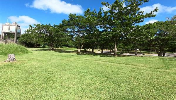 沖縄県 県民の森キャンプ場