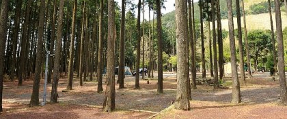 河津オートキャンプ場