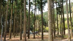 河津オートキャンプ場