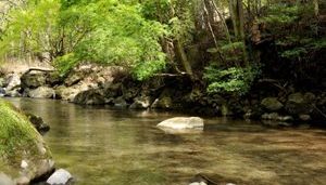 河津オートキャンプ場