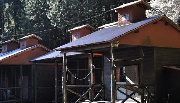 河津七滝オートキャンプ場