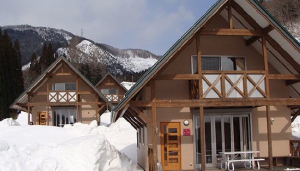 油坂さくらパーク 油坂さくらパーク