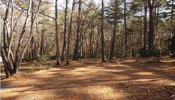 浅間高原ファミリーオートキャンプ場