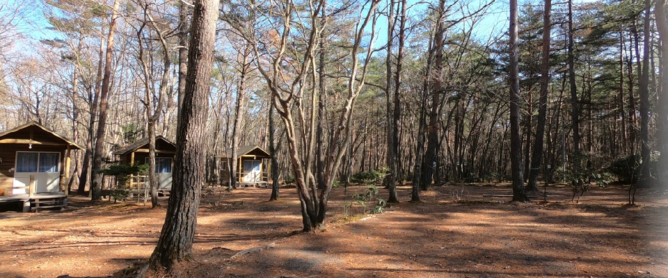 浅間高原ファミリーオートキャンプ場