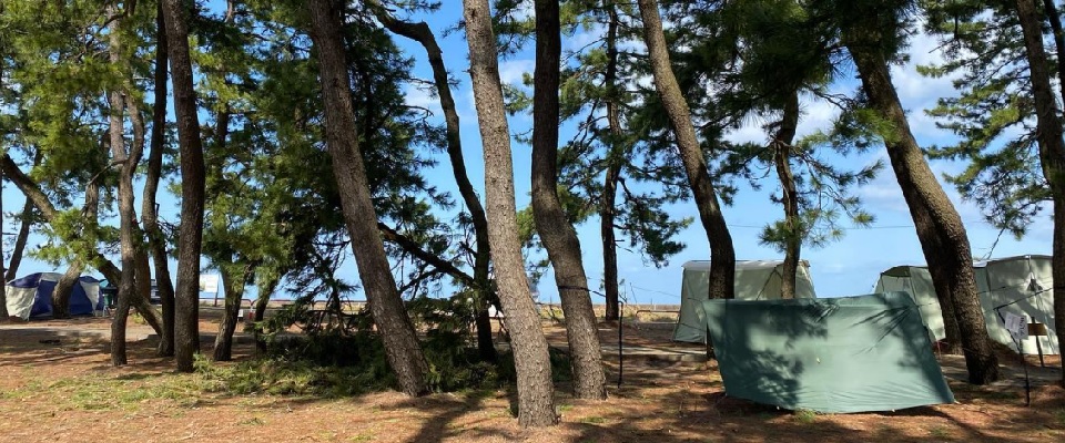 浜黒崎キャンプ場