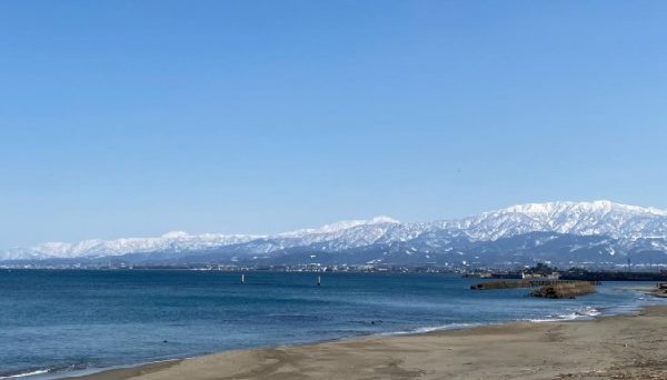 浜黒崎キャンプ場 浜黒崎キャンプ場