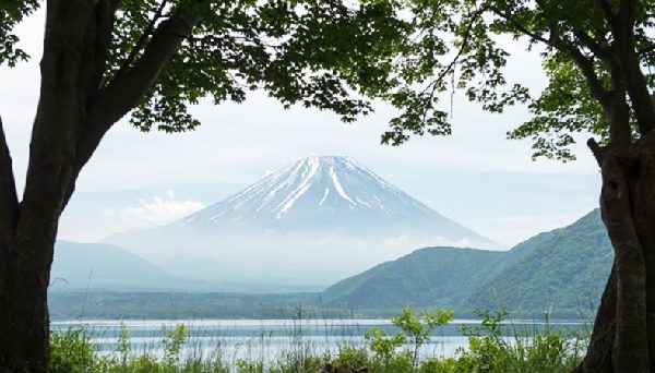 浩庵キャンプ場