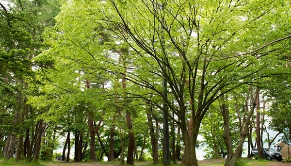 浩庵キャンプ場