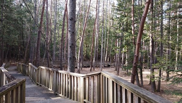 清水国明の森と湖の楽園