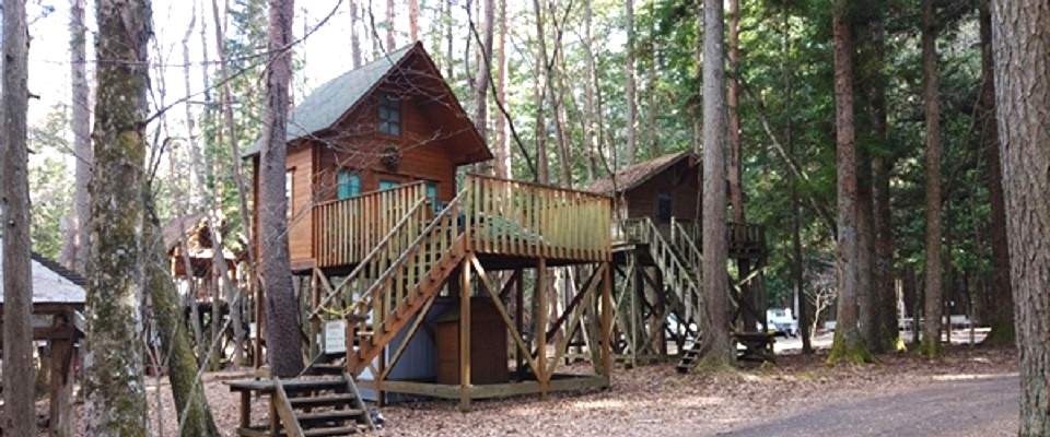 清水国明の森と湖の楽園