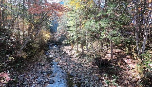 清見すのまたキャンプ場 清見すのまたキャンプ場