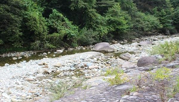 湯島オートキャンプ場